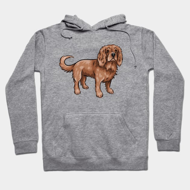 Cute Ruby Cavalier King Charles Spaniel Hoodie by Shirin Illustration